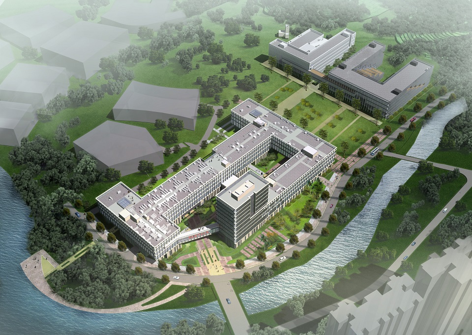 Southern University of Science and Technology