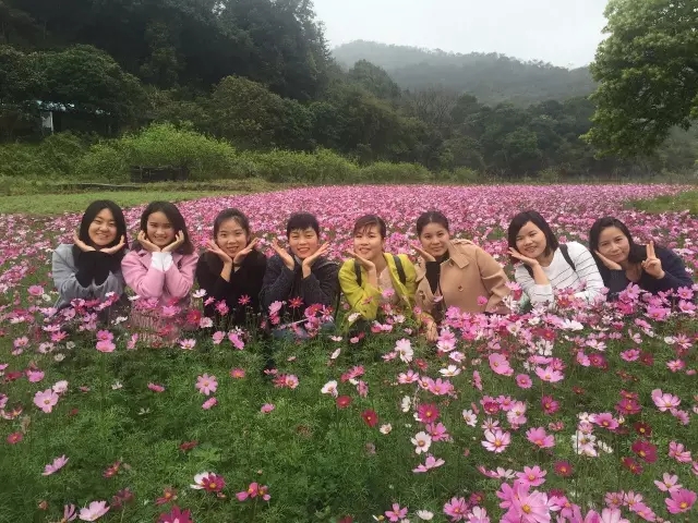 GSIN's March activities — original report image 2