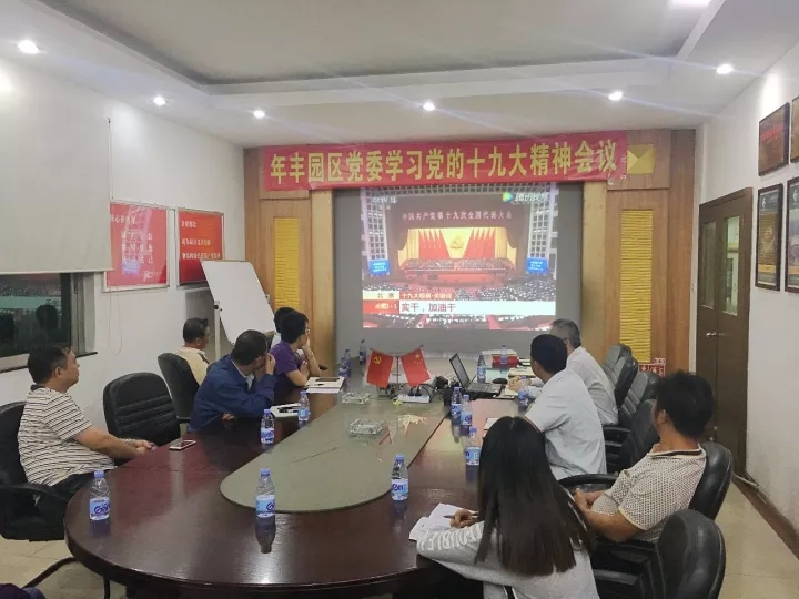 Nianfeng Industrial Park Party committee studies the 19th CPC National Congress report — original report image 2