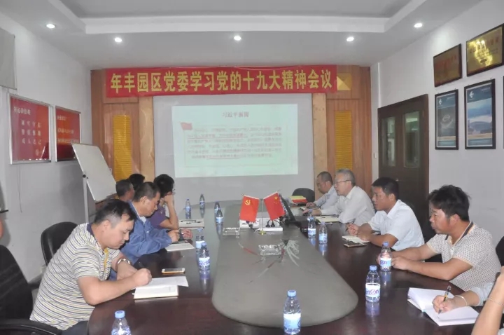 Nianfeng Industrial Park Party committee studies the 19th CPC National Congress report — original report image 1